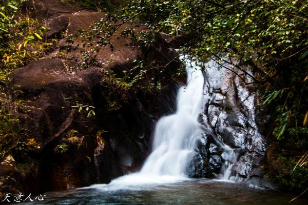 漫游武夷山之自驾游,漫游武夷记