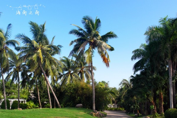 5天4夜三亚之旅,和闺蜜来三亚一定要这样玩