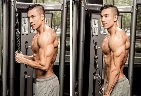 新手徒手健身训练一周计划,新手哑铃健身一周训练计划