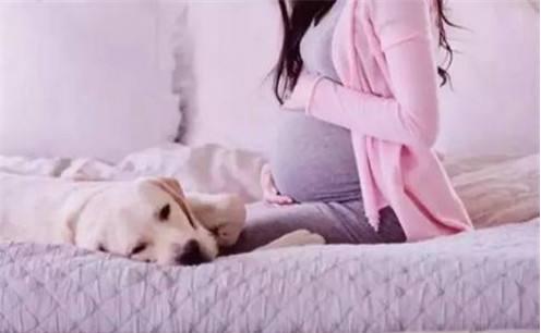 32周胎儿没动怎么回事,32周胎儿有心跳突然几天不动了