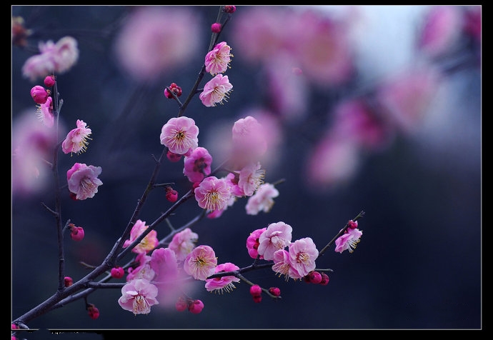 十劝世人大实话完整版,十劝世人大实话