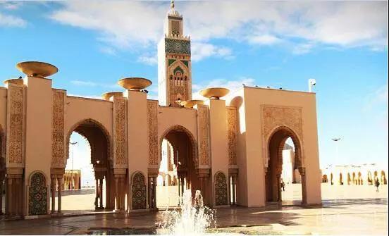 喵星人｜铲屎大大，发现一个超适合撸猫的地方……