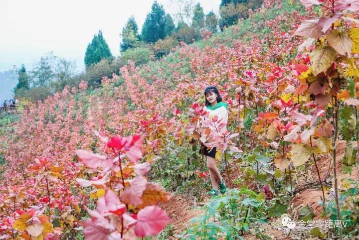 不想上班就去看看大城市,不想上班想去看山和海