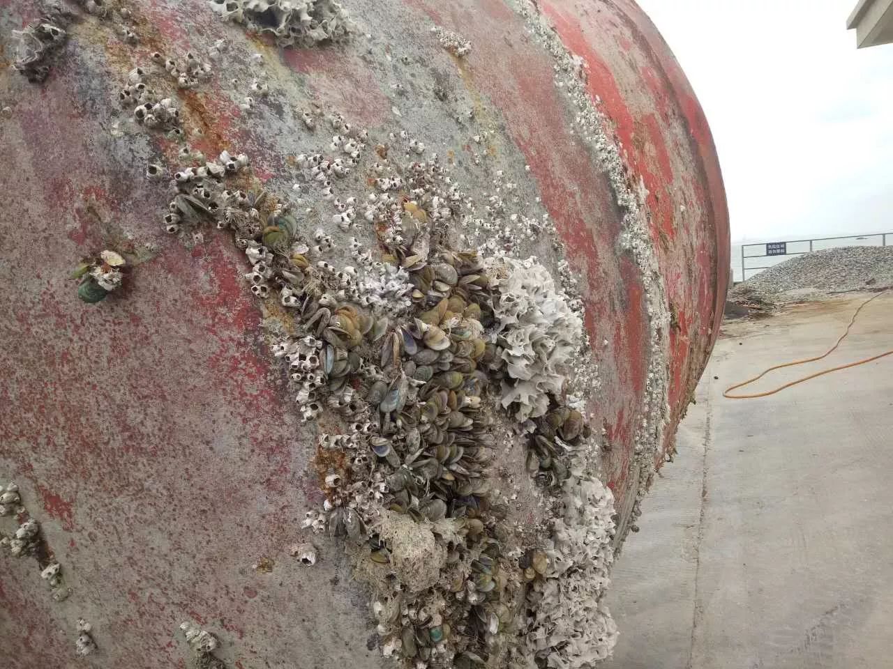 海上的航标是怎么固定的,海上航标生锈