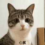 云南昆明结婚彩礼价格表,云南结婚彩礼一般都是多少