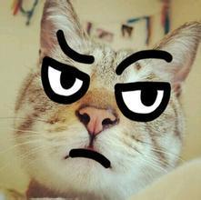 网易云热评墙推荐,网易云热评墙