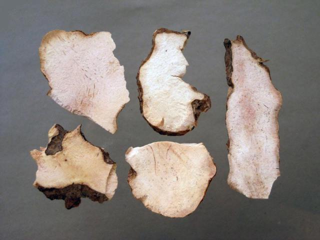 降尿酸单味中药,尿酸性肾病的中药配方