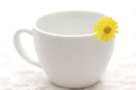 及时排便有助于备孕,备孕可以吃什么通便吗