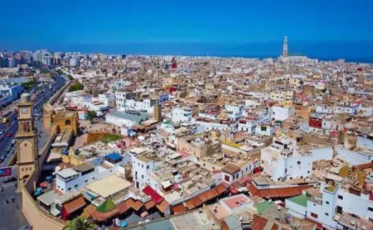 喵星人｜铲屎大大，发现一个超适合撸猫的地方……