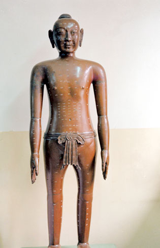 科学家发现经络器官,古代科技揭开人体经络的奥秘