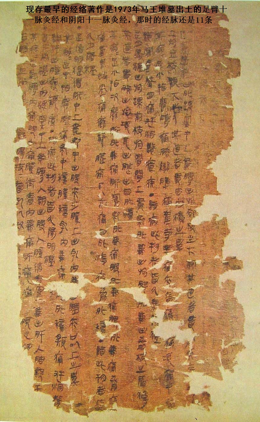 科学家发现经络器官,古代科技揭开人体经络的奥秘