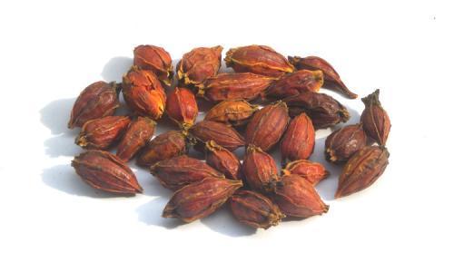 尿酸性肾病中医治疗心得,尿酸性肾病中医医案