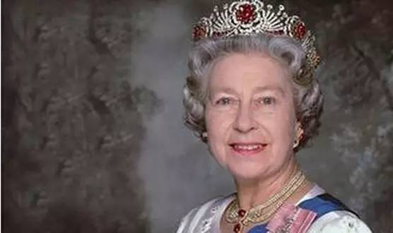 海里的有机宝石红珊瑚,来自深海的宝石红珊瑚