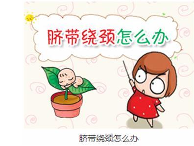 这些情况容易引起胎儿脐带绕颈窒息，孕妈们要注意了！