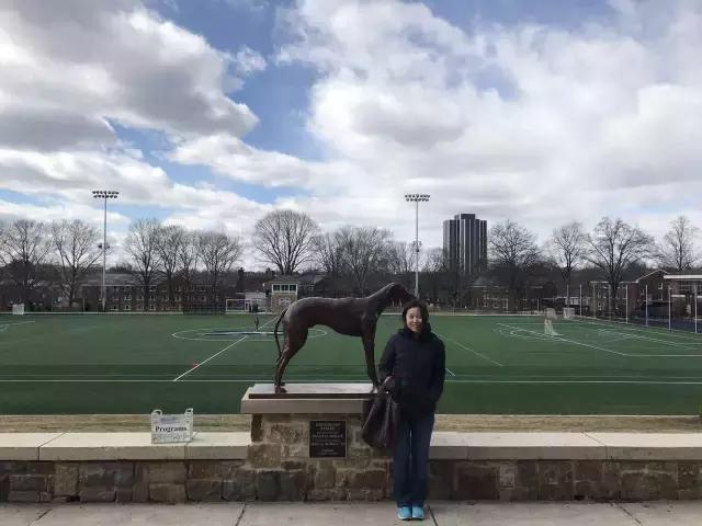 学考被录取了还能选择其他学校吗,收到学校录取信息之后怎么办