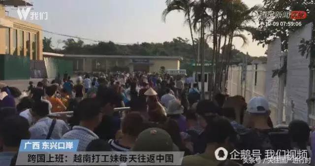 在工厂上班的越南姑娘,大批越南姑娘过海关涌入中国打工