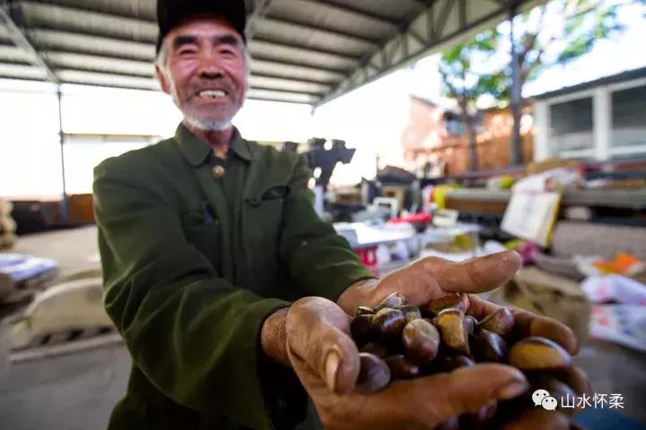聚焦烟台黄渤海新区,聚焦烟台莱州辛庄