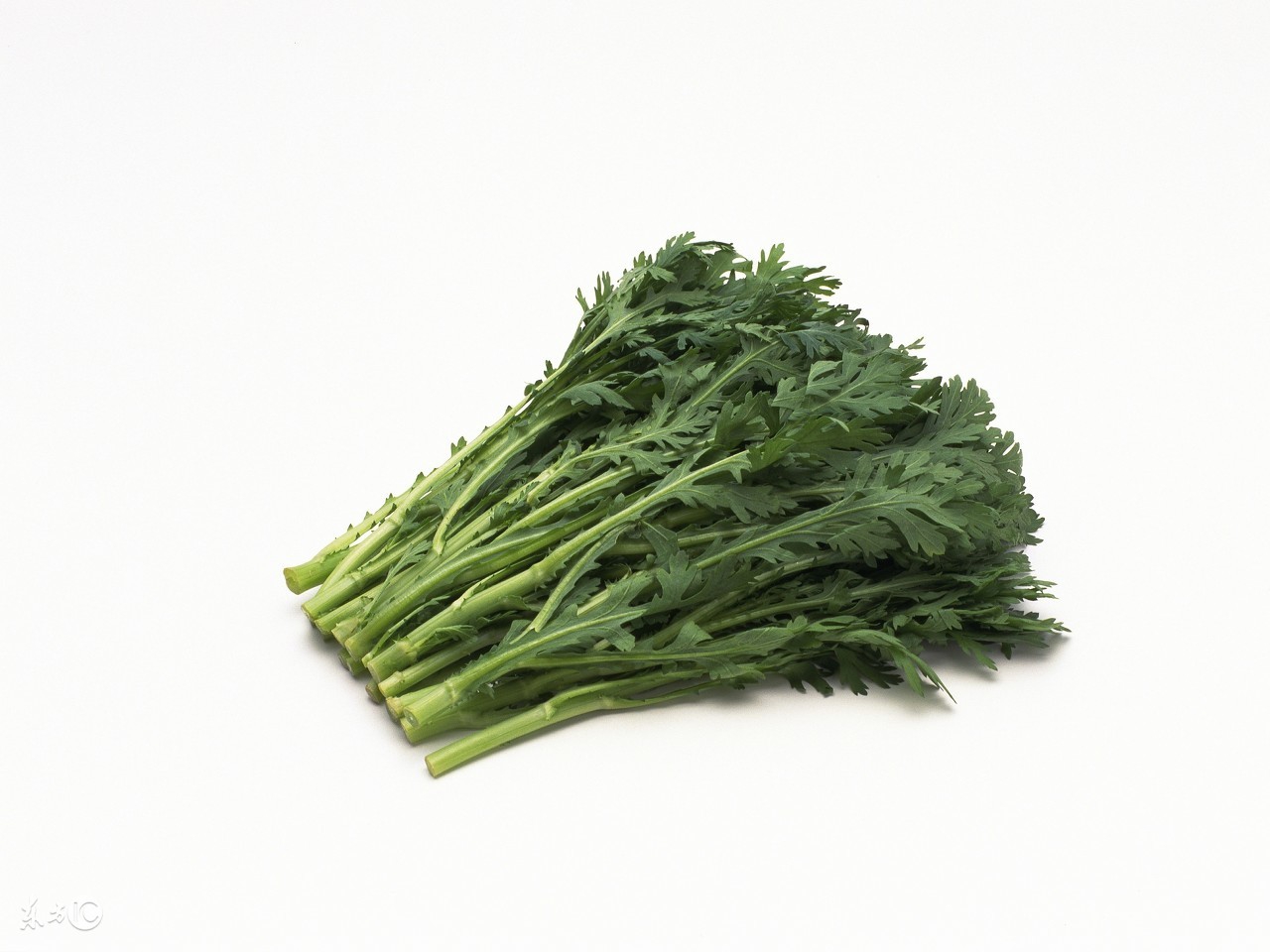 心脏病患者的饮食菜谱,风湿性心脏病的饮食