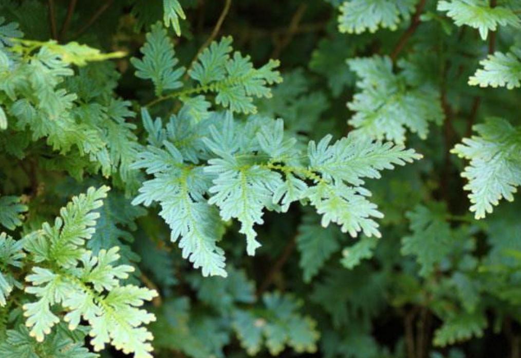 当你一无所有时怎么东山再起,当你一无所有的时候才幡然悔悟