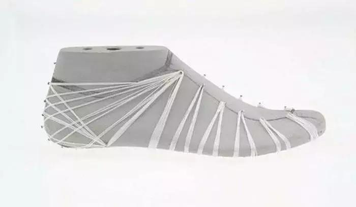 全掌zoom气垫加碳板,全掌zoomair气垫长什么样