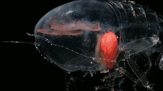 等了17年,等了你十七年