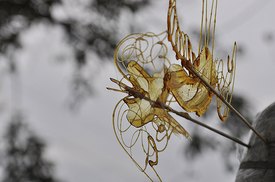 以前可以吃的东西是什么,以前能吃的东西现在吃不下