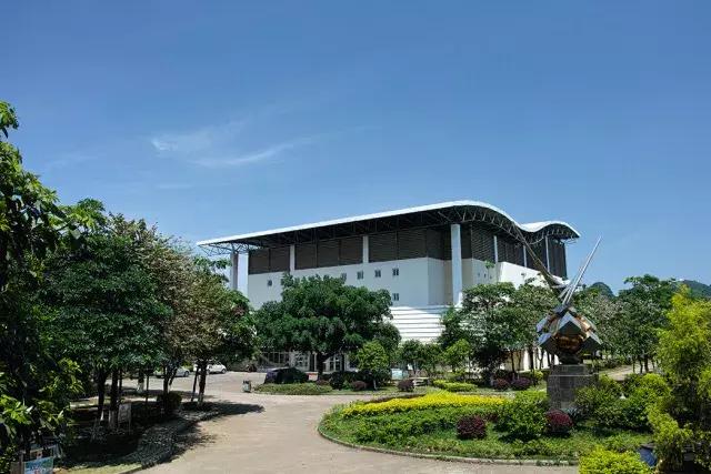 柳州市第十二中学分数线,柳州市第十二中学农志勋