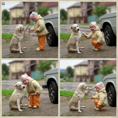 新沟通语言BOOP！无法抗拒的可爱