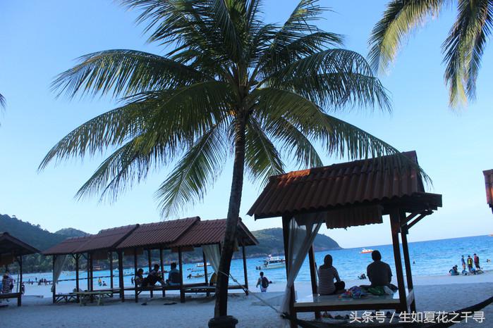 去兰卡威红树林,去兰卡威怎么玩