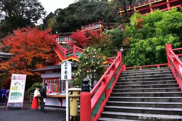 日本九州有哪些旅游景点,日本九州和本州哪里好玩
