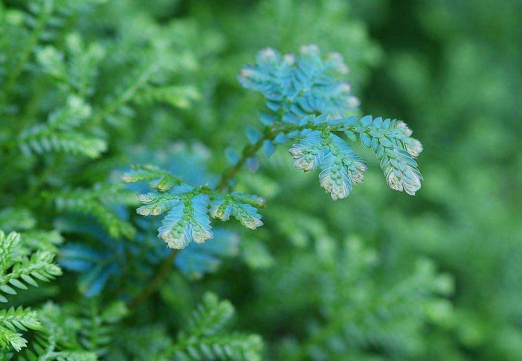 当你一无所有时怎么东山再起,当你一无所有的时候才幡然悔悟