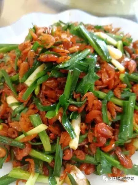 开着房车去遛娃,开着房车带狗狗出去玩