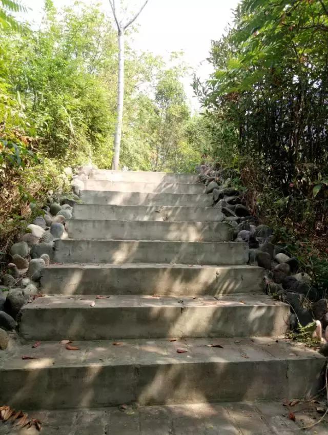 洛龙区银杏帝都温泉地址,洛阳银杏帝都温泉