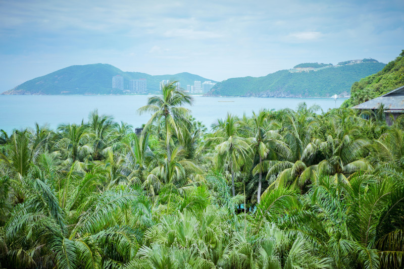 三亚海棠湾免税店购物攻略,三亚免税店半年内无限回购攻略