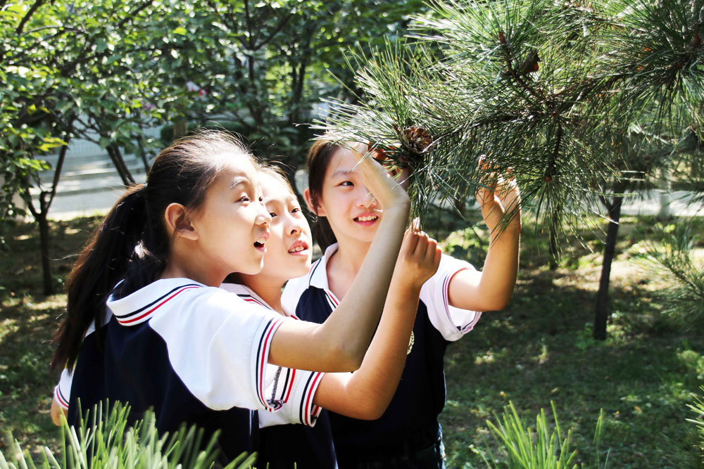 保定东方双语学校收费标准2021,保定东方双语最新进展