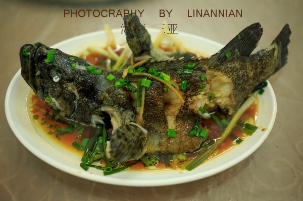 三亚海棠湾免税店购物攻略,三亚免税店半年内无限回购攻略