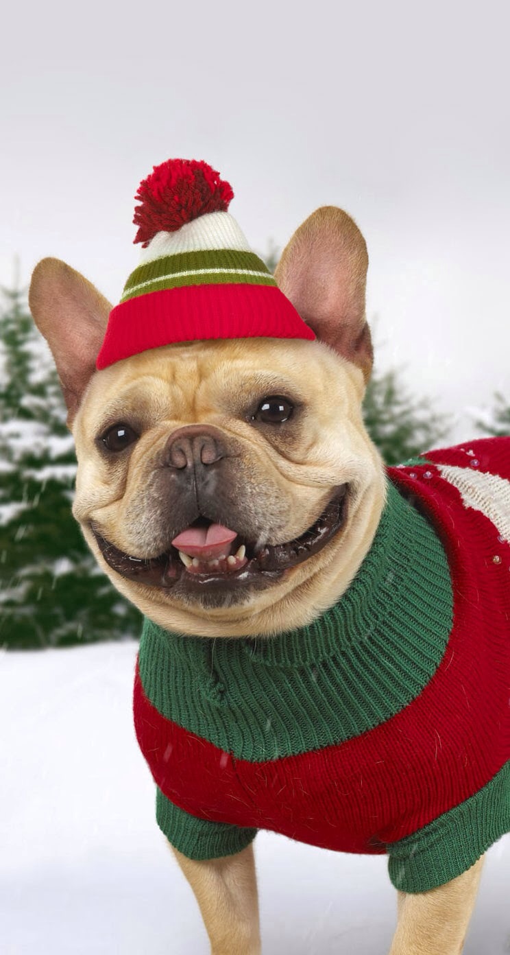 唯美1080×1920P高清壁纸锁屏画面待机背景图！请在wifi环境查看