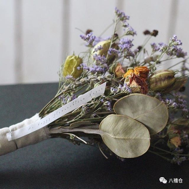 干花的颜色和品种,干花的形态分类