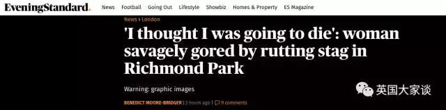 华人伦敦遭鹿攻击酿惨剧，事发地里士满公园警告：务必离鹿50米！