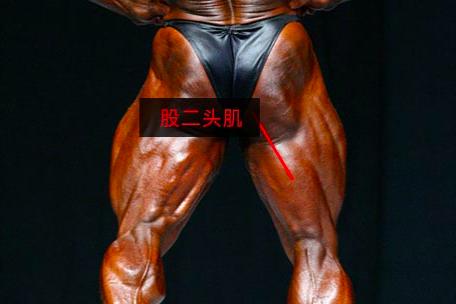 男人怎么练腿部力量,腿直抬不了股四头肌锻炼方法