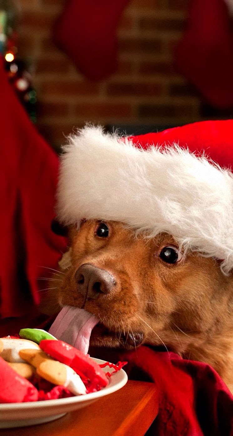 唯美1080×1920P高清壁纸锁屏画面待机背景图！请在wifi环境查看