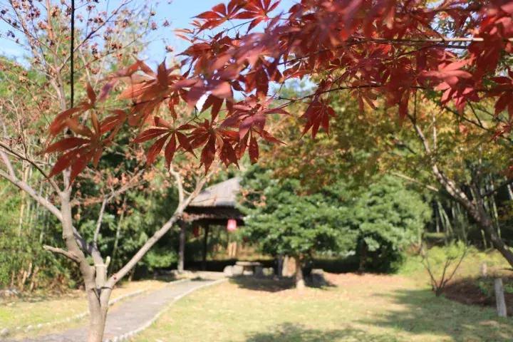 最新宜兴竹海旅游攻略分享,宜兴竹海最佳旅游季节