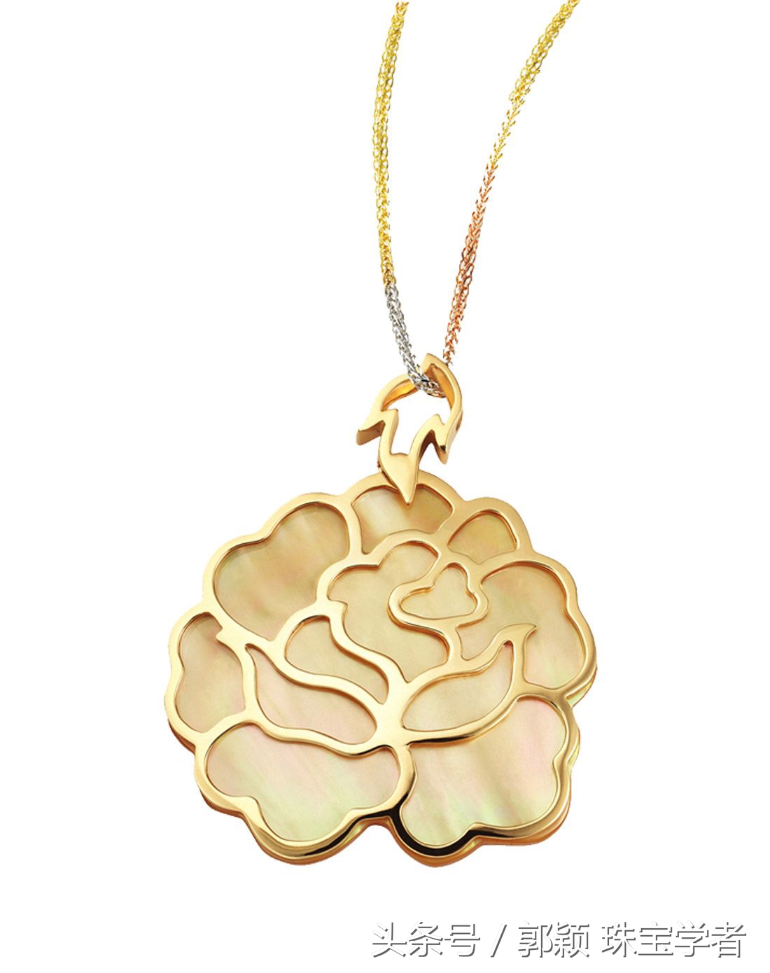 娴锋磱閲岀殑鍚勭缇庡懗铻冭煿,灏忕簿鐏靛悆铻冭煿