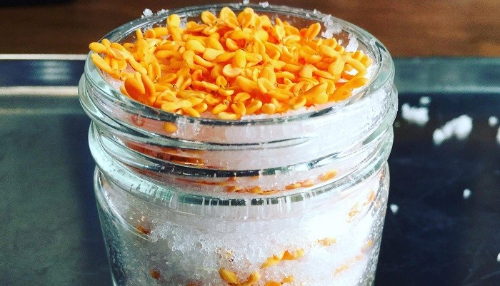 郁金香diy手工,桂花梅花香怎么制作