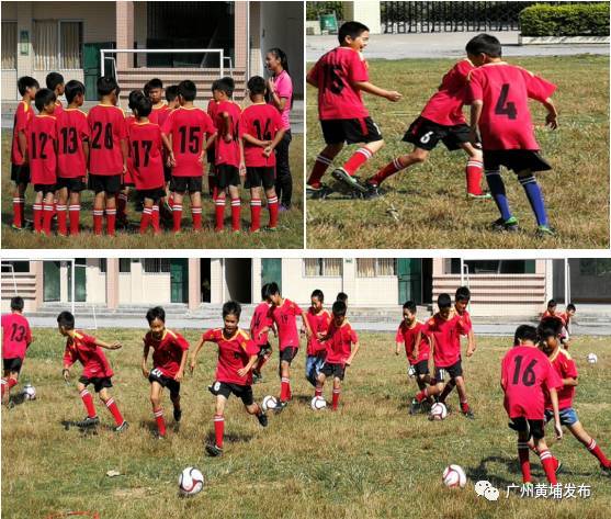 黄埔公益活动宗旨,黄埔教育基金会