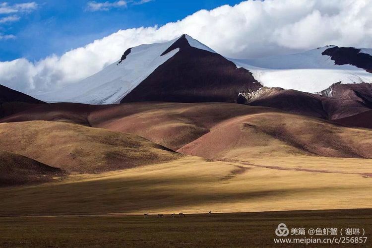 只要能去*藏西**,头痛高反什么的都不care