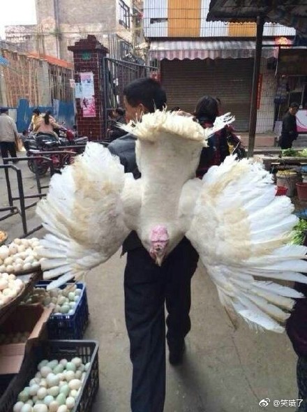 朋友圈晒旅行照的女生,美女朋友圈晒旅游照