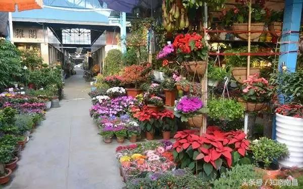 南昌淘货,南昌淘旧货