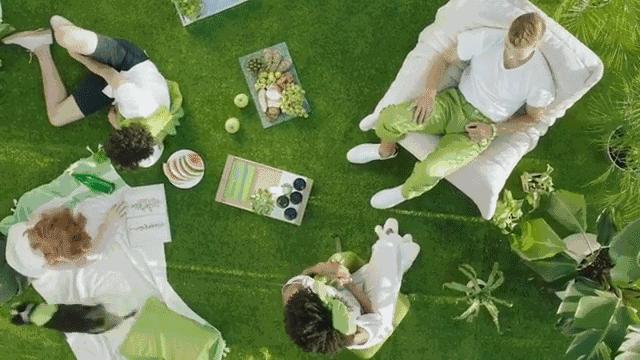 宇治抹茶为什么这么好,日本宇治抹茶