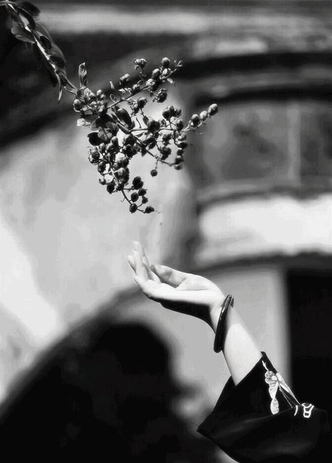 千里运河十里街，最美尽收院子里